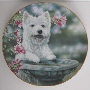 Danbury Mint  Westie collector plate